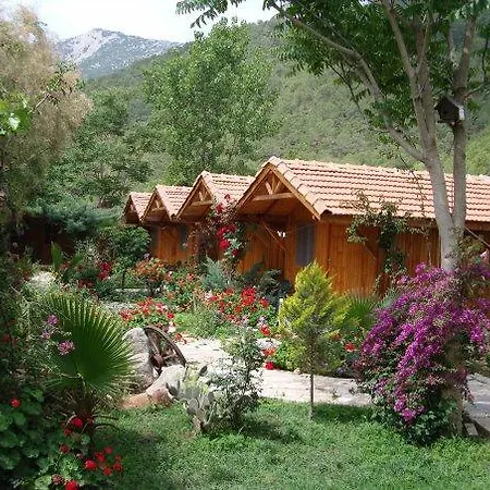 Κάμπινγκ Dayco Bungalow *